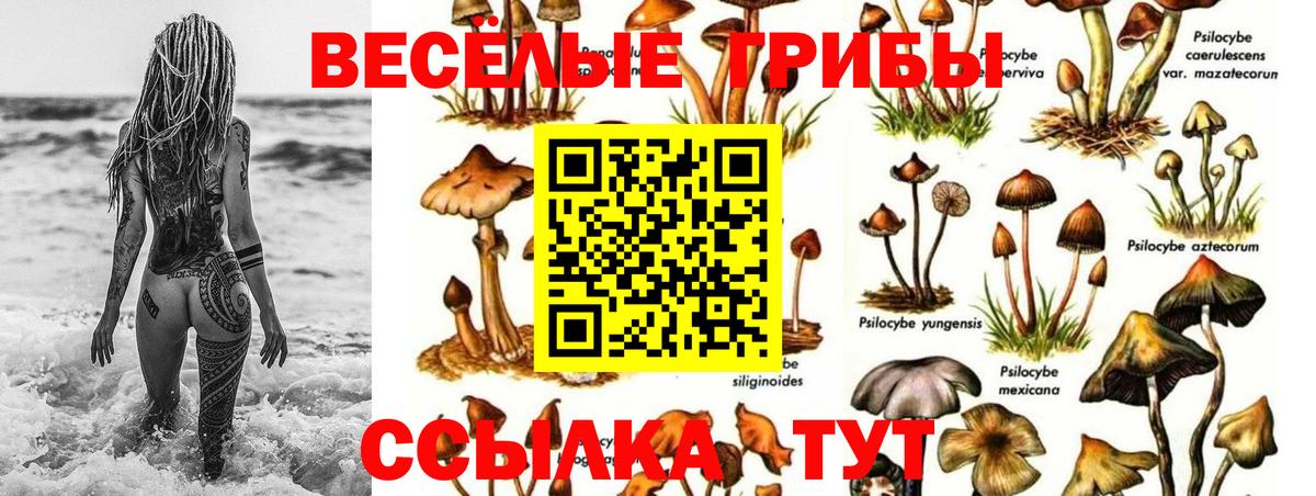 Ялуторовск  Псилоцибиновые грибы прущие грибы  Вход с VPN 